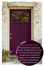 Load image into Gallery viewer, OHE - Plum Velvet