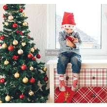 Load image into Gallery viewer, RED GINGHAM REDESIGN DÉCOR TRANSFERS® – SIZE 23″X 33″