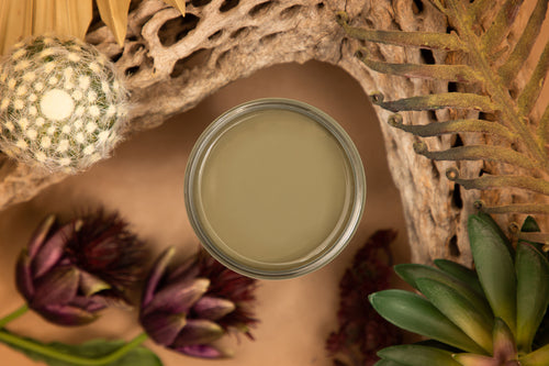 Small Color swatch of Silk all-in one mineral paint in Cactus color