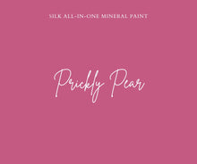 Load image into Gallery viewer, Color swatch of Silk all-in one mineral paint in Prick,y pear color
