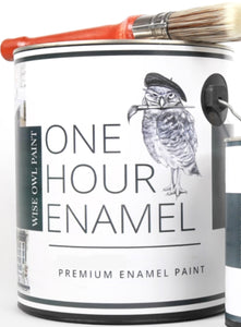 One Hour Enamel Paint Colors - Wise Owl Paint