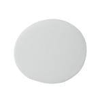 Color sample of Jolie paint in the color misty cove