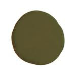 Color sample of Jolie paint in the color olive green