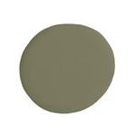 Color sample of Jolie paint in the color sage